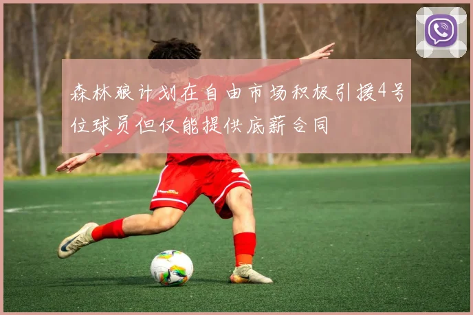 森林狼计划在自由市场积极引援4号位球员但仅能提供底薪合同